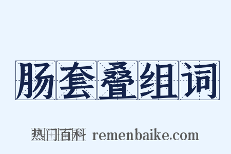 肠套叠组词是什么意思的图片